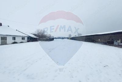 Casă cu 5 camere cu Teren 7531 Mp în Sacu - 7