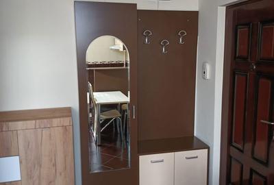 Apartament cu 2 camere în Paltiniș - 17
