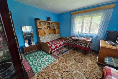 VAND CASA IN CAPU Piscului Godeni judetul Arges - 7