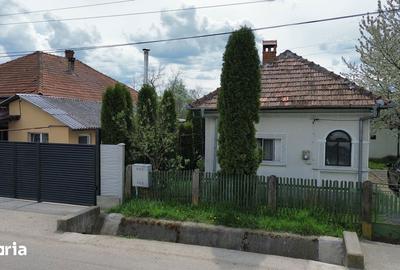 Casă cu 3 camere cu Teren 1320 Mp în Stâlpeni - 1