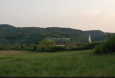 Casa de vanzare in Uileacul de Beius gospodarie traditionala, zona pitoreasca - 10