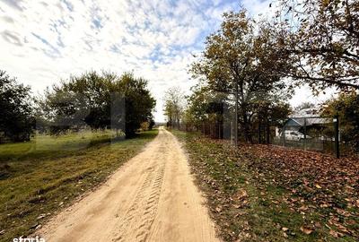 Teren de 29600 mp, în Șimnicu de Sus - 15