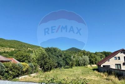 Teren Construcții intravilan de 3154 mp, în Bârsana - 1