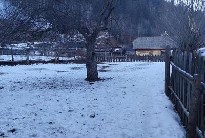 Casă cu Teren 800 Mp în Fundu Moldovei