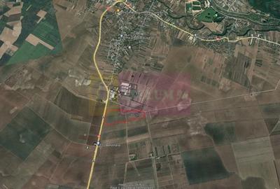 Teren în Copăceni - 1