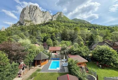 Casa de vacanta pretabila pentru pensiune autorizata - 1