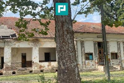 Casă cu 8 camere cu Teren 7235 Mp în Traian Vuia - 15