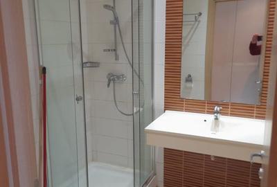 Apartament cu 2 camere semidecomandat, mobilat în Vitan-Bârzești - 4