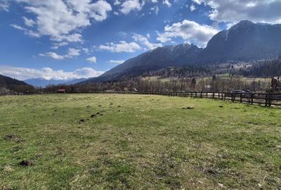 Teren Construcții intravilan de 1200 mp, în Plaiul Foii - 5