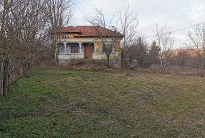 Teren de 6000 mp, în Priboieni - 3
