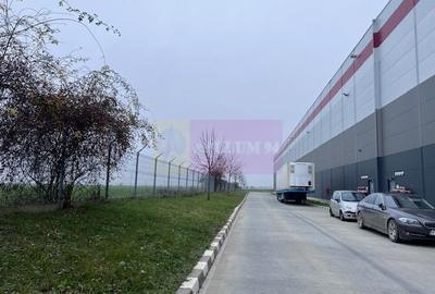 Teren Domnesti- Depozit Altex, Emag. - 6