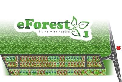 Teren în Trafic Greu - 8