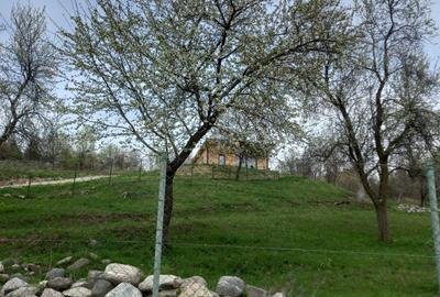 Teren de 3000 mp, în Căpățânenii Pământeni - 1