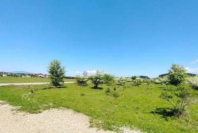 Teren de 1333 mp, în Sânpetru - 7