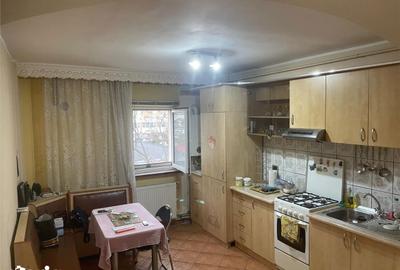 Apartament cu 2 camere decomandat, mobilat în Bistrița Lac - 9
