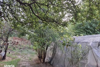 Teren de 4000 mp, în Grădina - 7