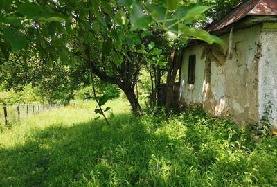 Teren de 2000 mp, în Cosmina de Sus - 4