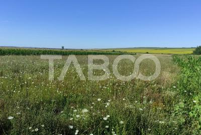 Teren extravilan de vanzare 25920 mp in Sura Mica Sibiu - 5