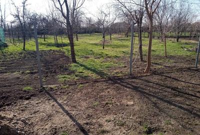 Casă cu 3 camere cu Teren 1350 Mp în Nădab - 9