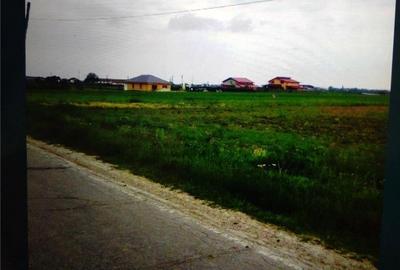 Teren în Vânătorii Mici - 1