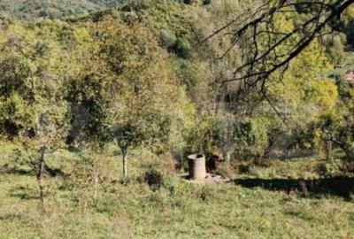 Teren cu priveli?te superba , livada ?i poten?ial casu? - 17