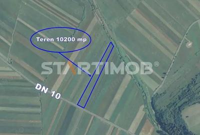 Teren de 10200 mp, în Teliu - 3