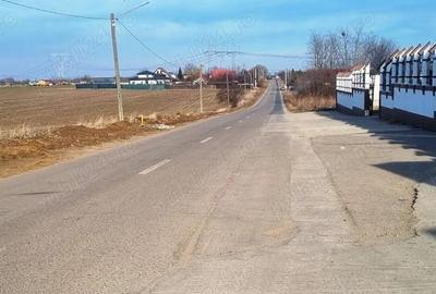 Frumusani Postavari Loturi Teren Rezidentiale - 10