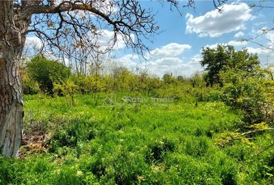 In rate, teren 509 mp, com. Vernesti-sat Carlomanesti - 1