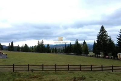 Teren de 16813 mp, în Fundu Moldovei - 5