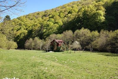 Casă cu 3 camere cu Teren 62 Mp în Gura Râului - 4