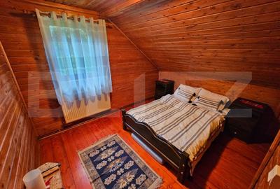 Casa de vacanta cu 4 camere,3300 mp teren,Valisoara - 7