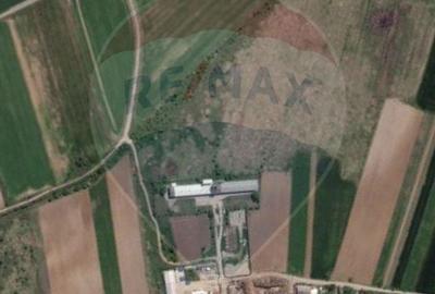 Teren 2,000mp Ciolpani / DN Izvorani - 1