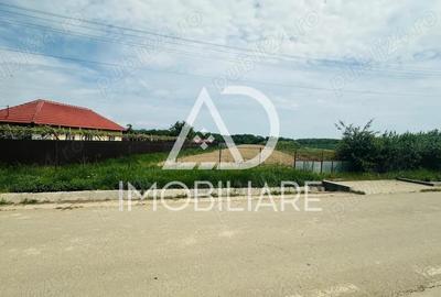 Teren de vanzare in Dane?ti, Sasa 8 km de Targu-Jiu - 8