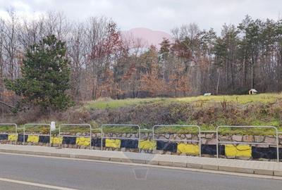 Oportunitate investi?ie B. Felix teren intravilan cu PUZ... - 1