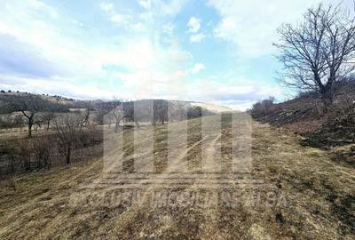 Teren intravilan de vanzare, Geogiu de Sus - 3