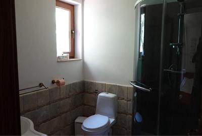 Casă cu 3 camere în Beliș - 6