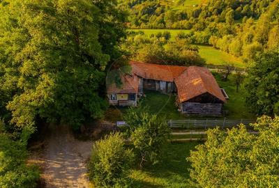 Teren intravilan cu PRIVELISTE UNICA |BRAN, BV| 3,000mp | COMISION 0 | - 18