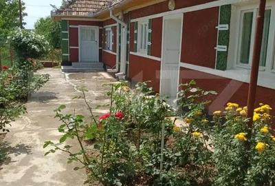 Casă cu Teren 5450 Mp în Central - 4