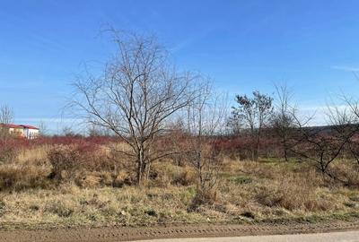 Corbeanca Vanzare teren intravilan stradal Corbeanca Vanzare teren intravilan stradal - 6