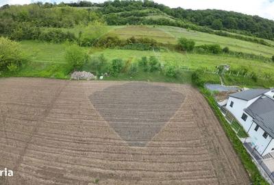 Spațiu comercial, în Central - 2