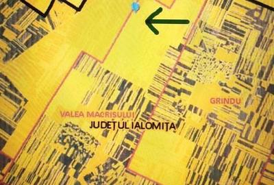 Teren de 10000 mp, în Valea Măcrișului - 2