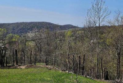 Spațiu comercial, în Buștenari - 5