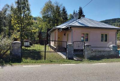 Casă cu 3 camere în Avram Iancu - 7
