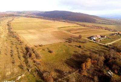Spațiu comercial, în Calnic - 4