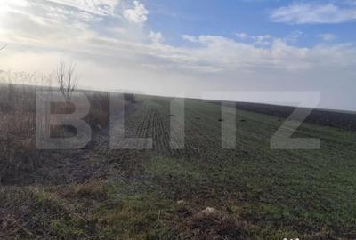 Teren de 15000 mp, în Miroslava - 3