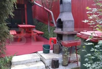 Casă cu 2 camere cu Teren 1153 Mp în Aurel Vlaicu - 4