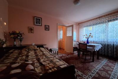 Apartament cu 2 camere semidecomandat, mobilat în Șagului - 9