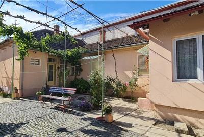 Casa de inchiriat pe calea Radnei - strada principala - 4