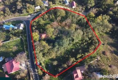 Casă cu 3 camere cu Teren 5245 Mp în Șerbănești - 2