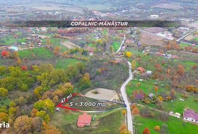 Spațiu comercial, în Copalnic - 1